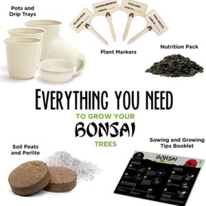 Bonzai Kit