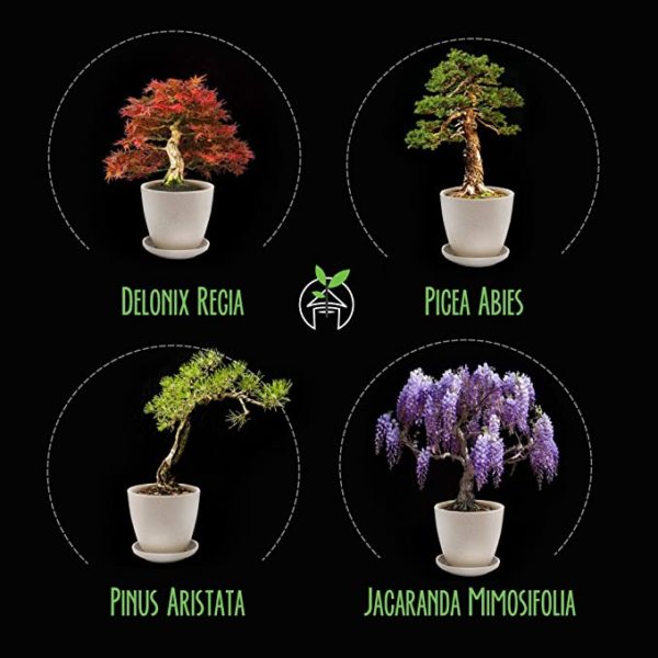 Bonzai Kit - Image 4